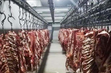 图片名称