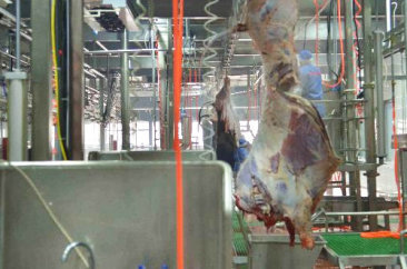 南宫NG28平台网站,南宫NG·28(中国)相信品牌力量,NG28相信品牌的力量食品